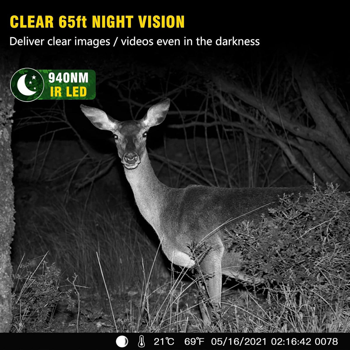 4K 32MP Wildlife Trail Camera with Night Vision T115224