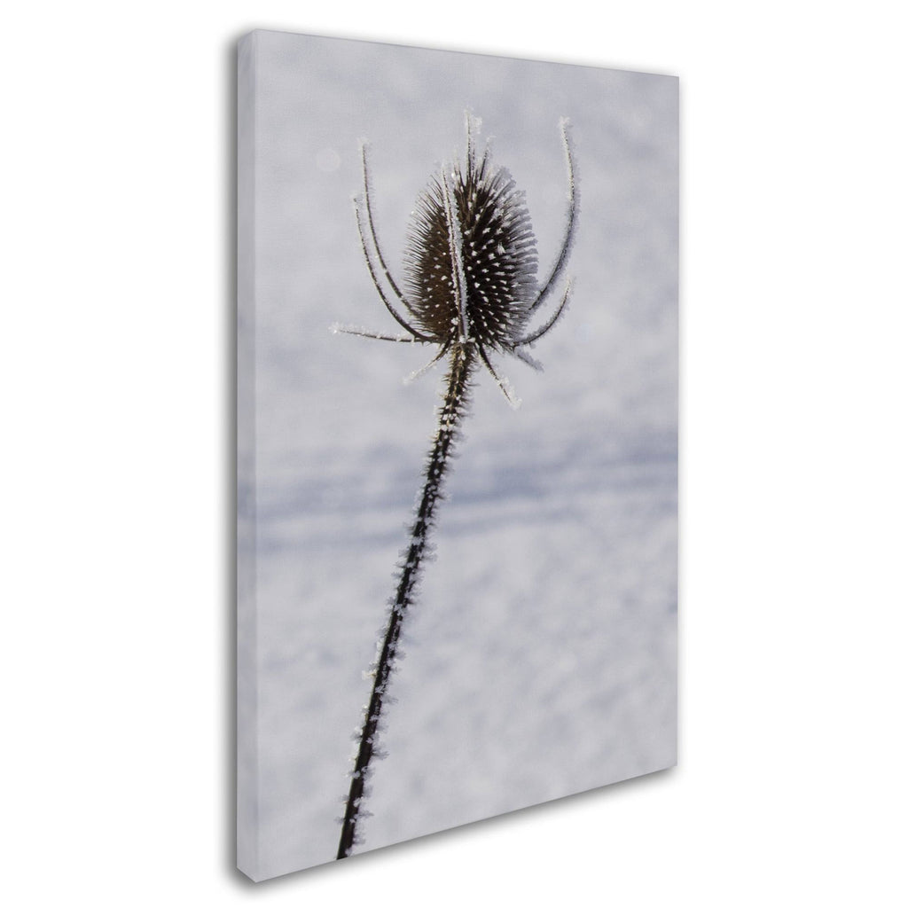 Canvas Art M627