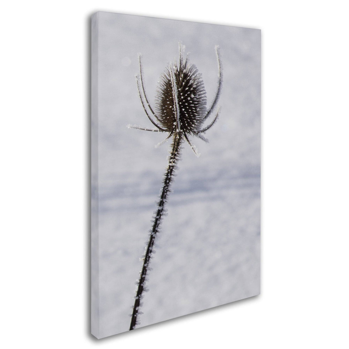 Canvas Art M627