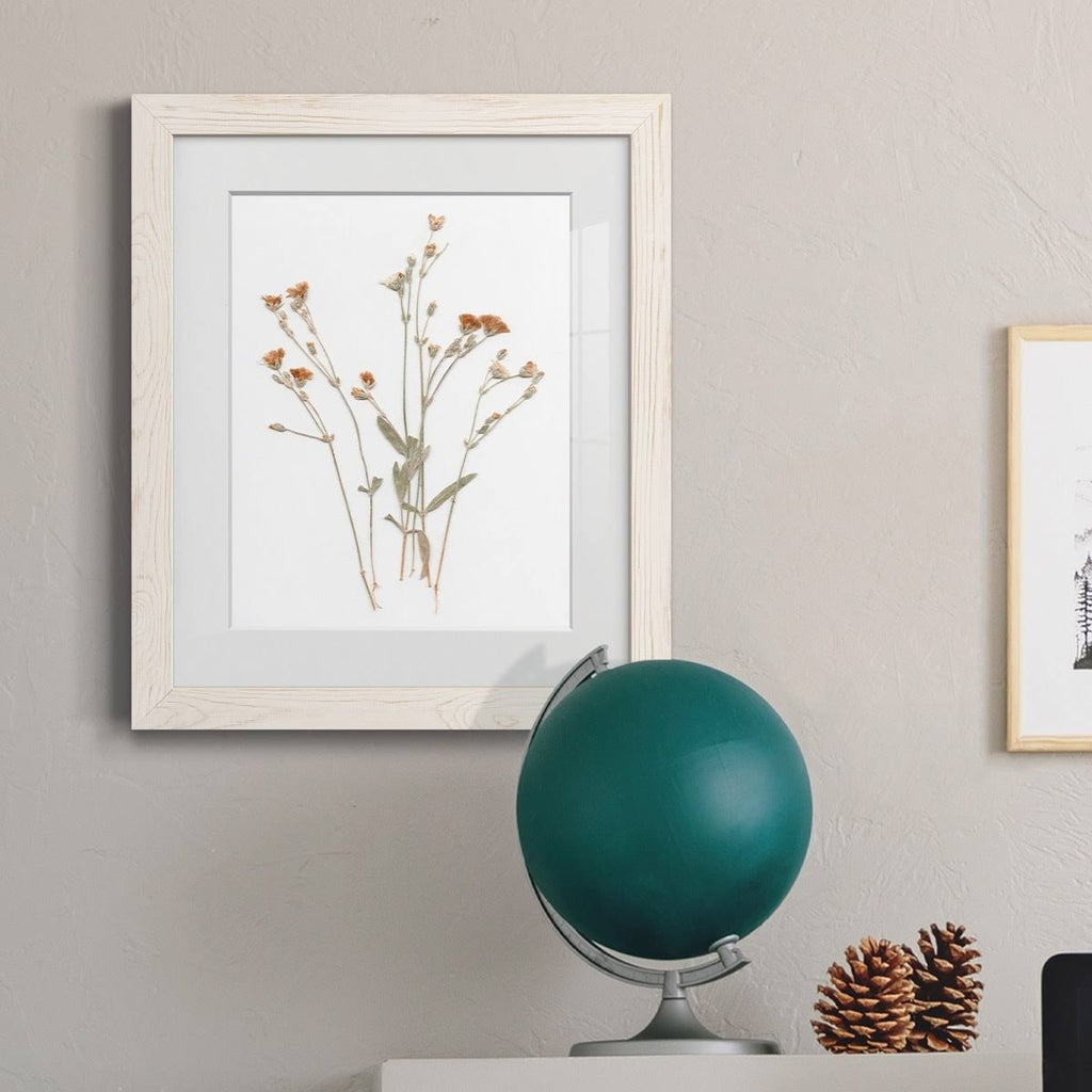 Framed Print 23X32 Maple I2968