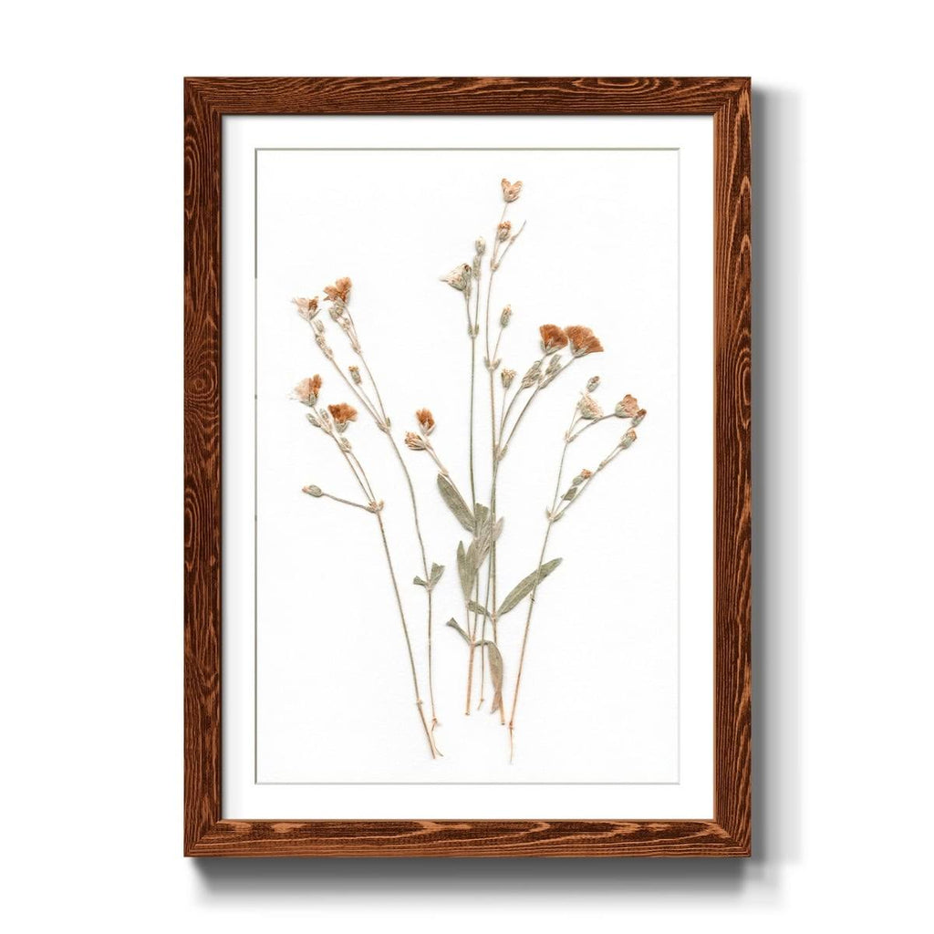Framed Print 23X32 Maple I2968