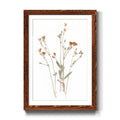 Framed Print 23X32 Maple I2968