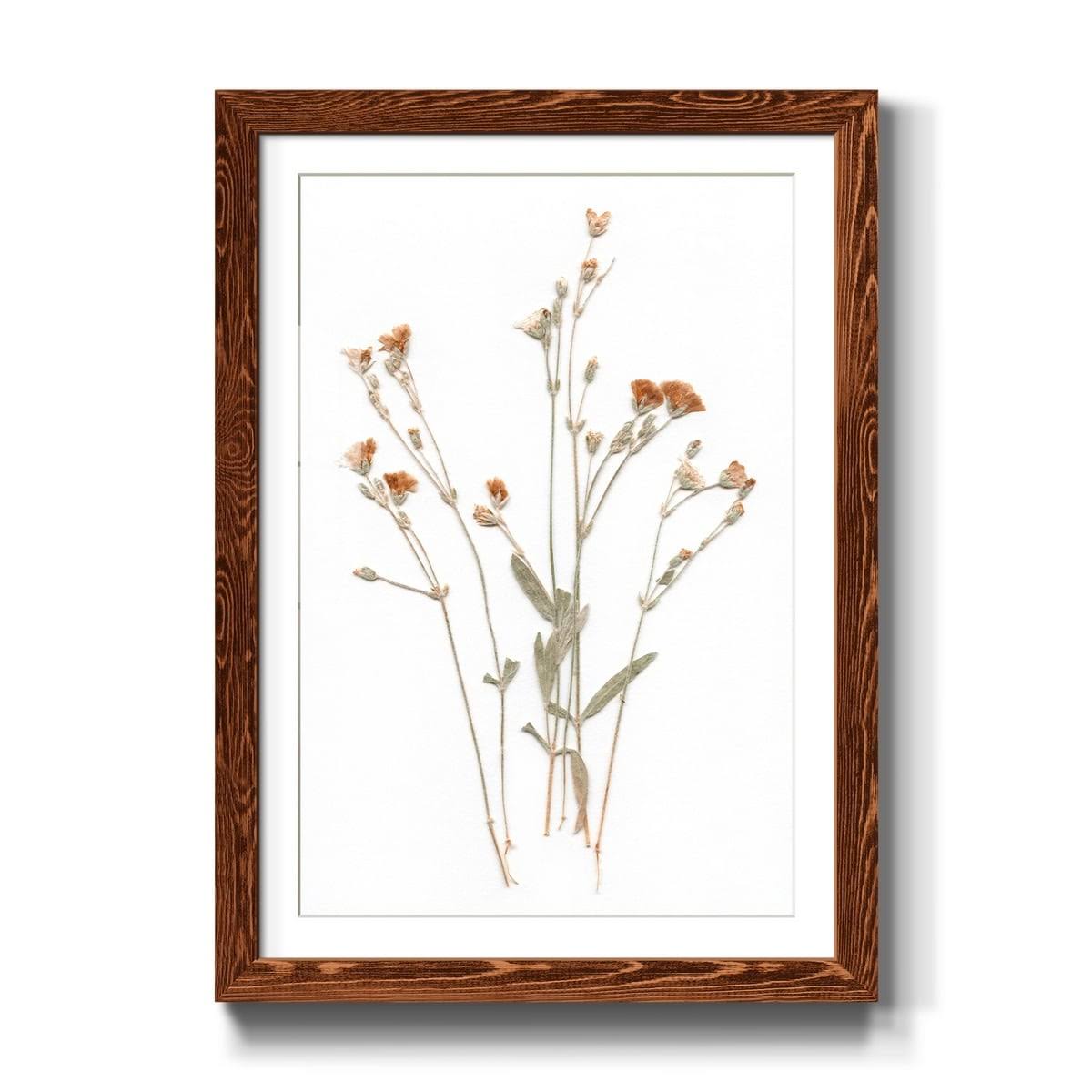 Framed Print 23X32 Maple I2968
