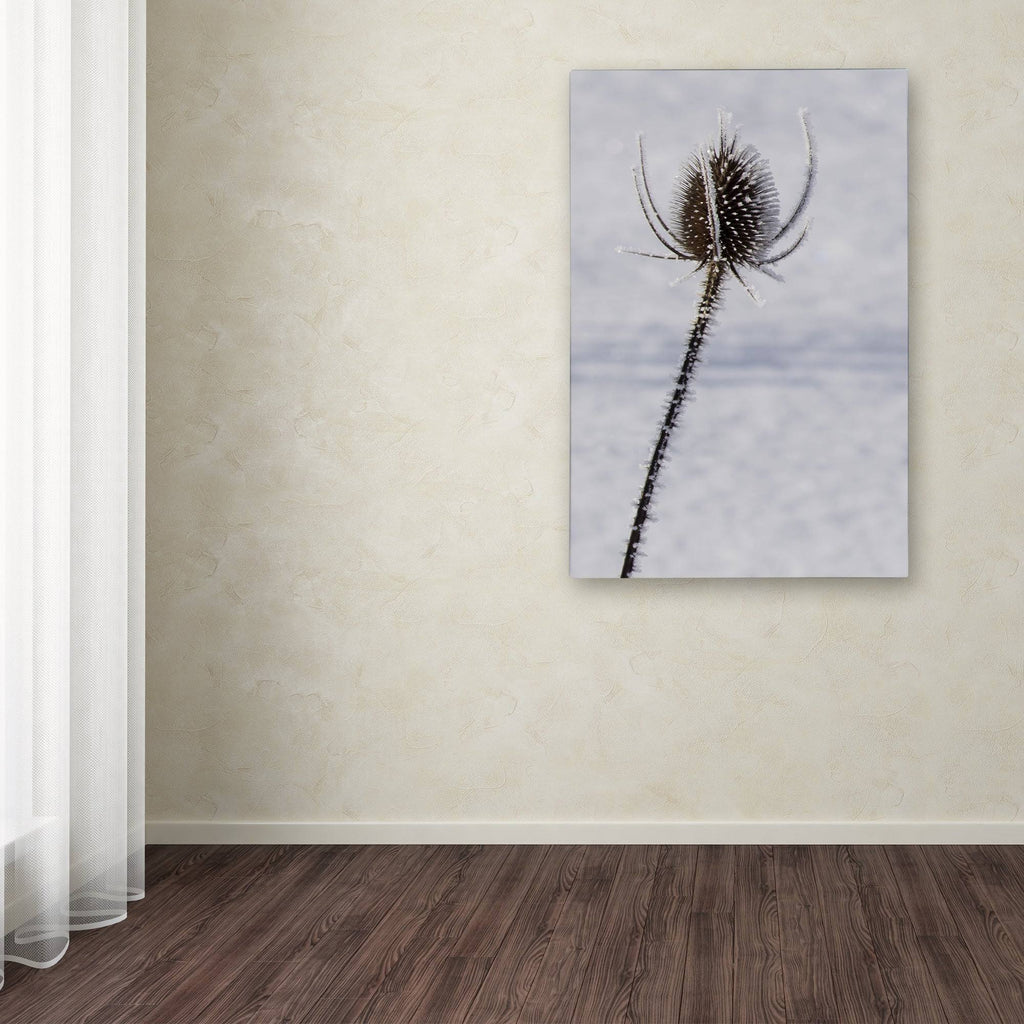 Canvas Art M627