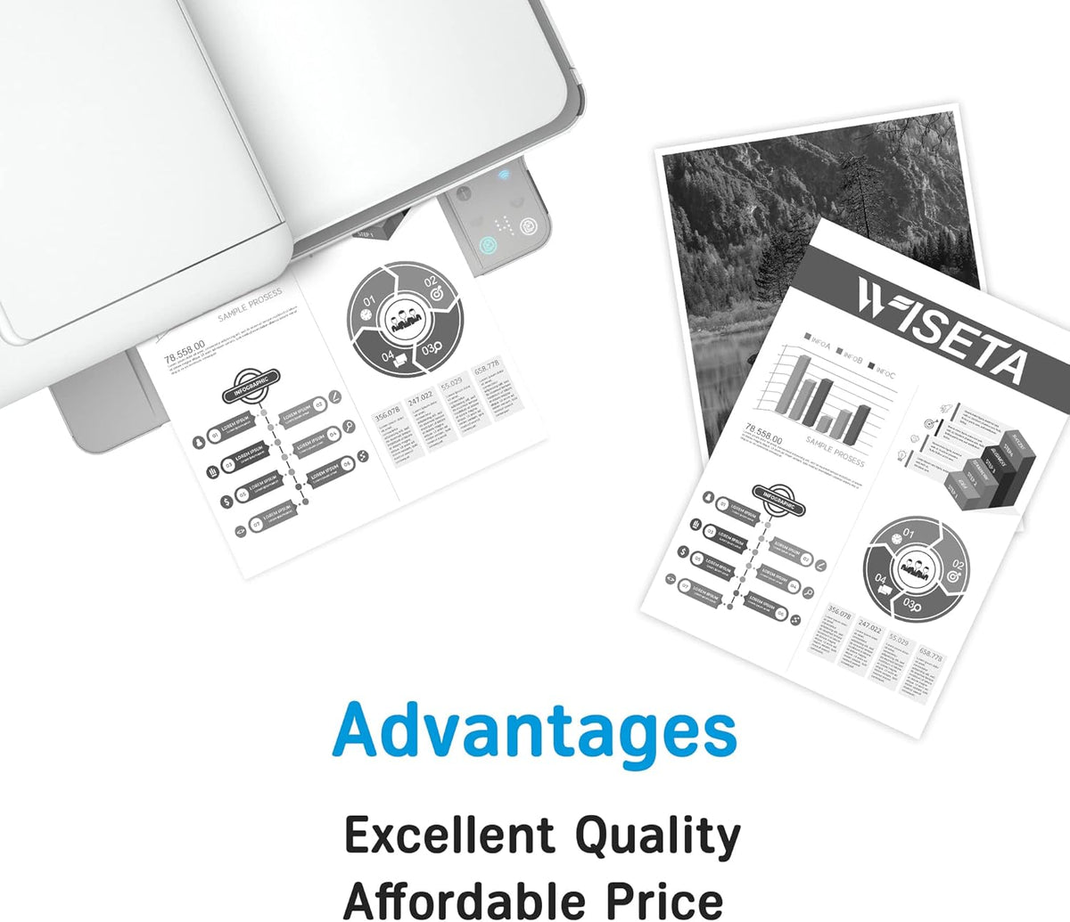 Black 2-Pack Toner Cartridge B161