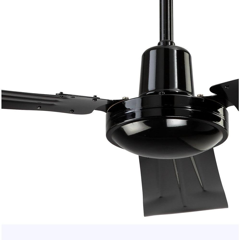 Black Ceiling Fan M551