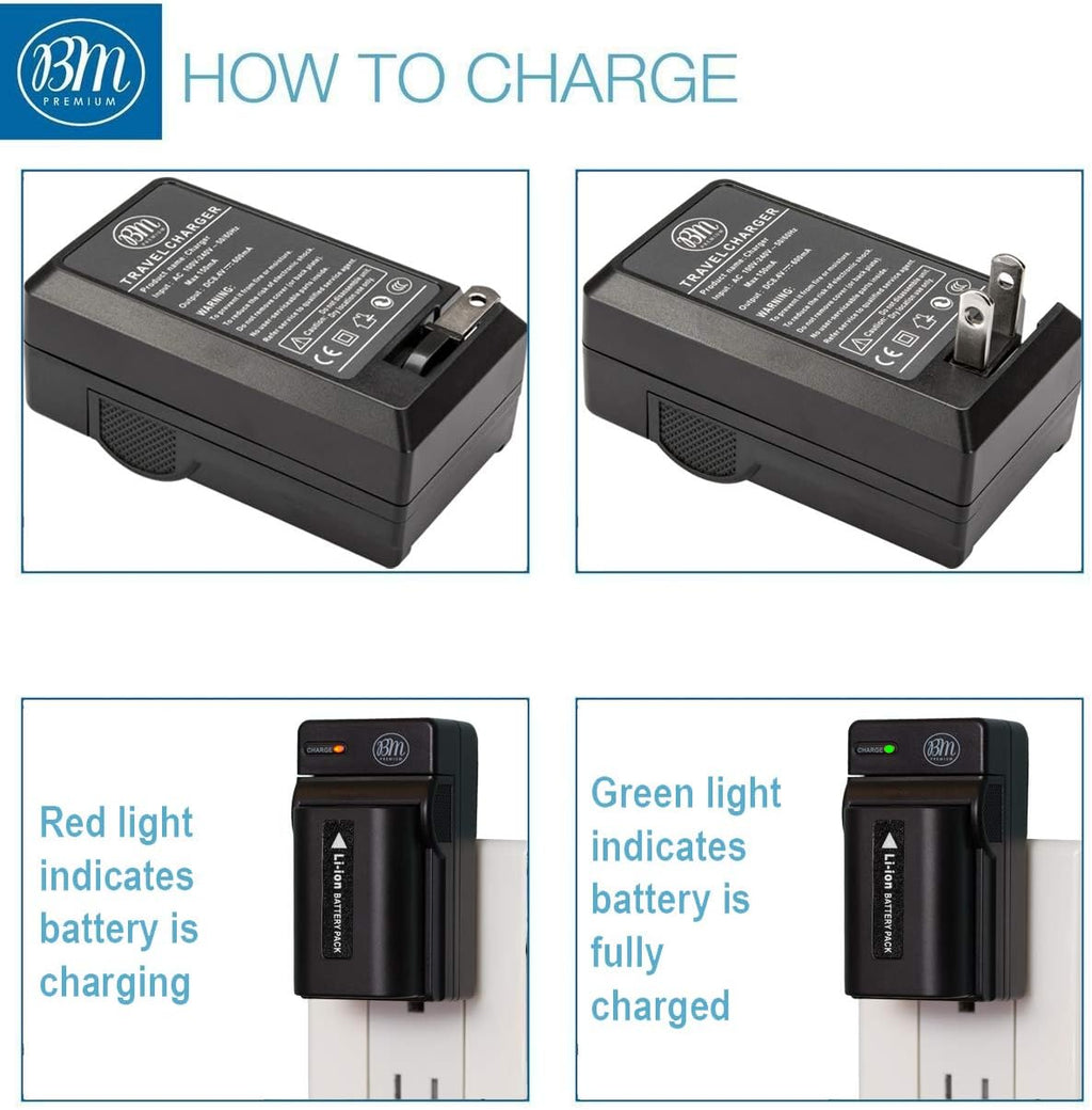 2 Batteries and Charger H9459