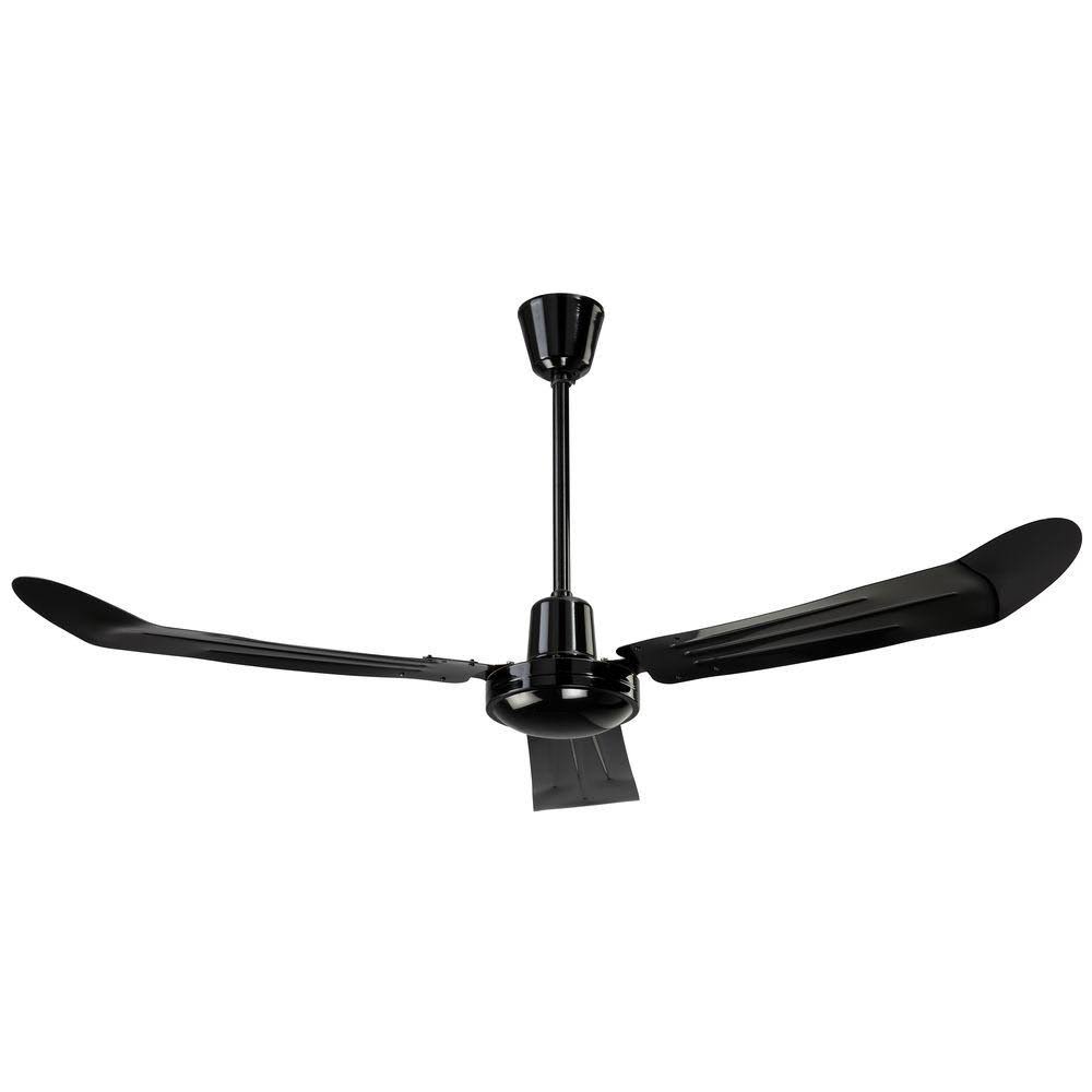 Black Ceiling Fan M551