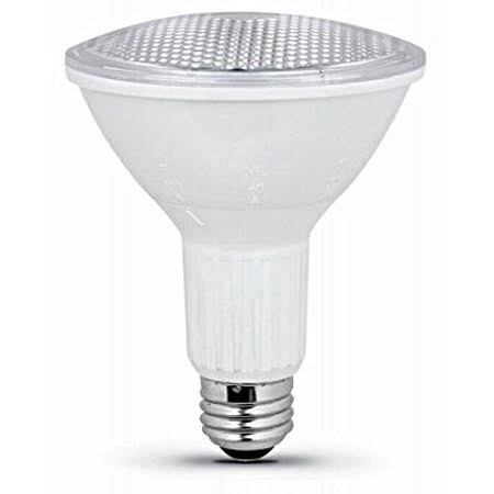 LED PAR38 Adjustable Beam Bulb T853