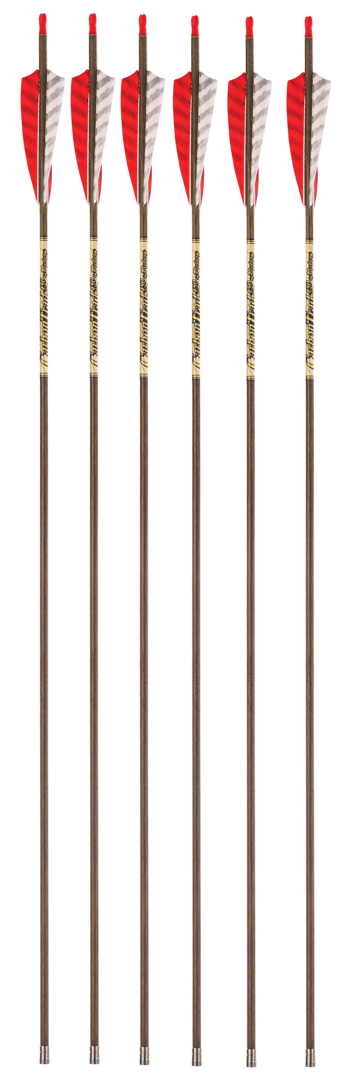 Carbon 550 Spine Feather Fletched 6 Pack I64672