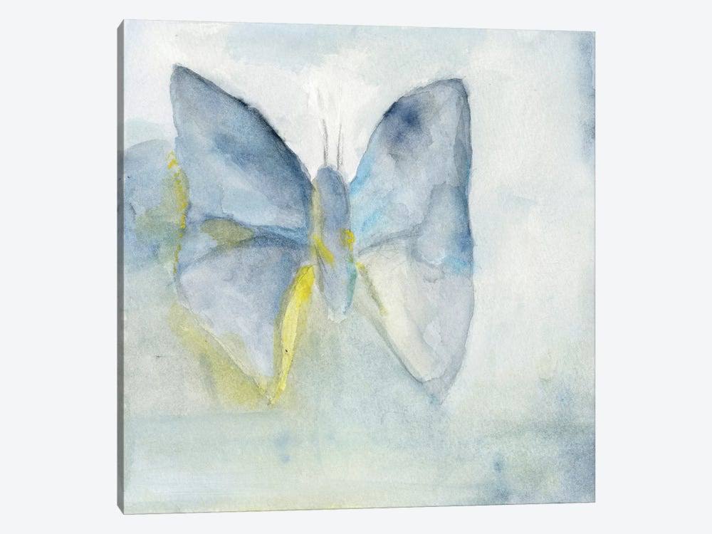 Canvas Art Picture - Butterfly V M89024