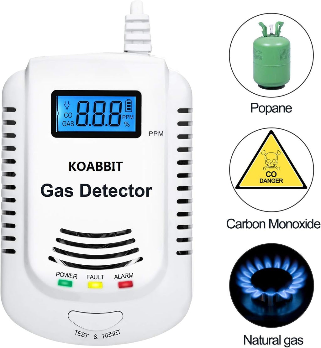 Plug-in Carbon Monoxide and Natural Gas Detector Alarm 2 Pack Y874165