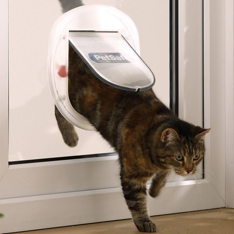 White Pet Door N94276