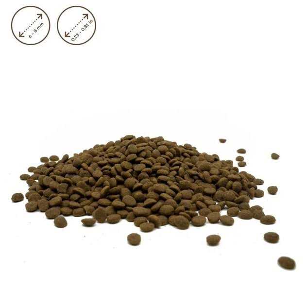 Grain Free Dry Dog Food U29437