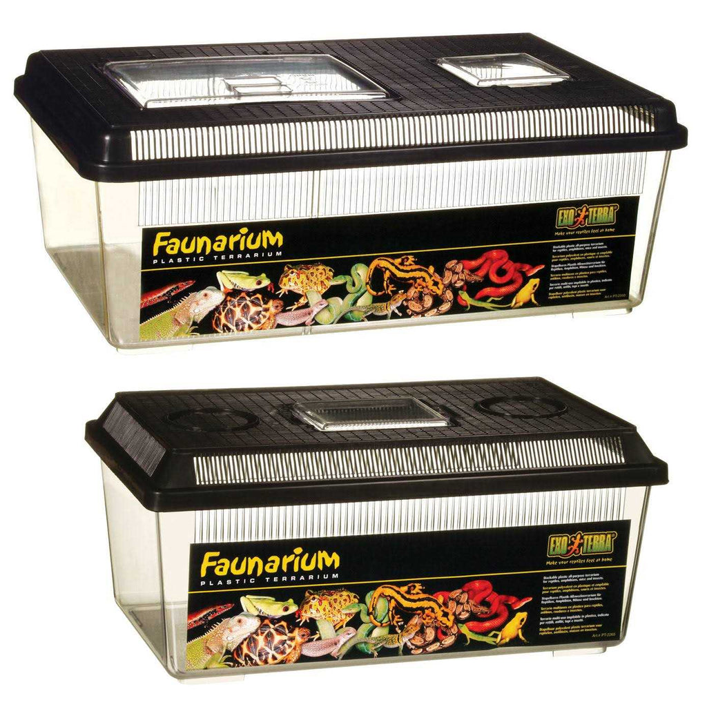 Faunarium Flat Home B4198