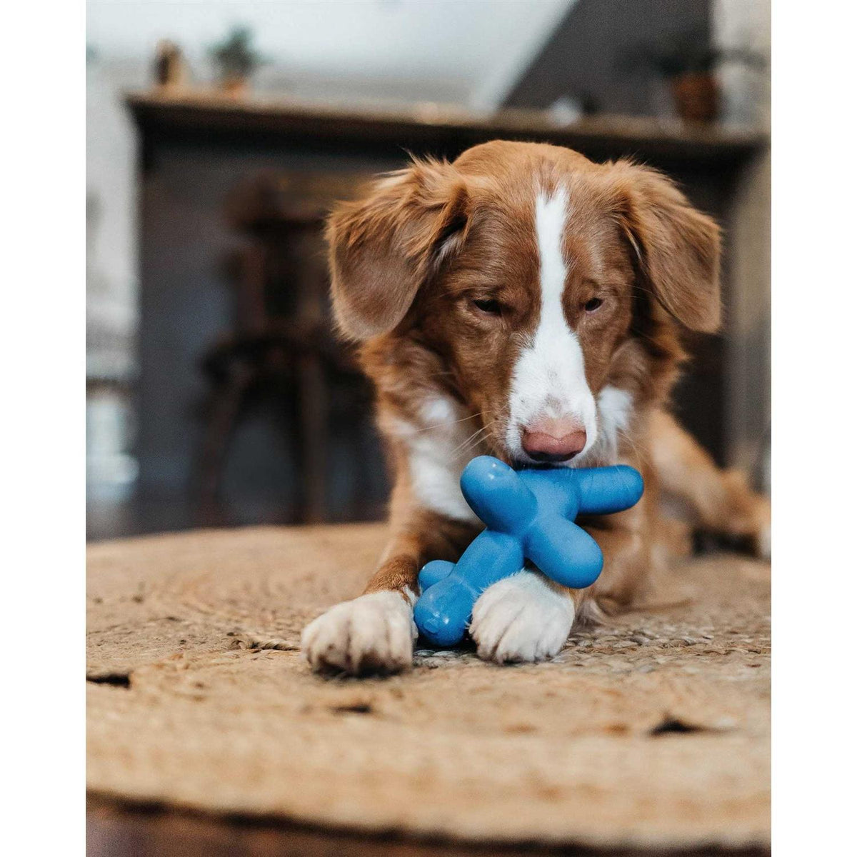 Latex Dog Toy A7668