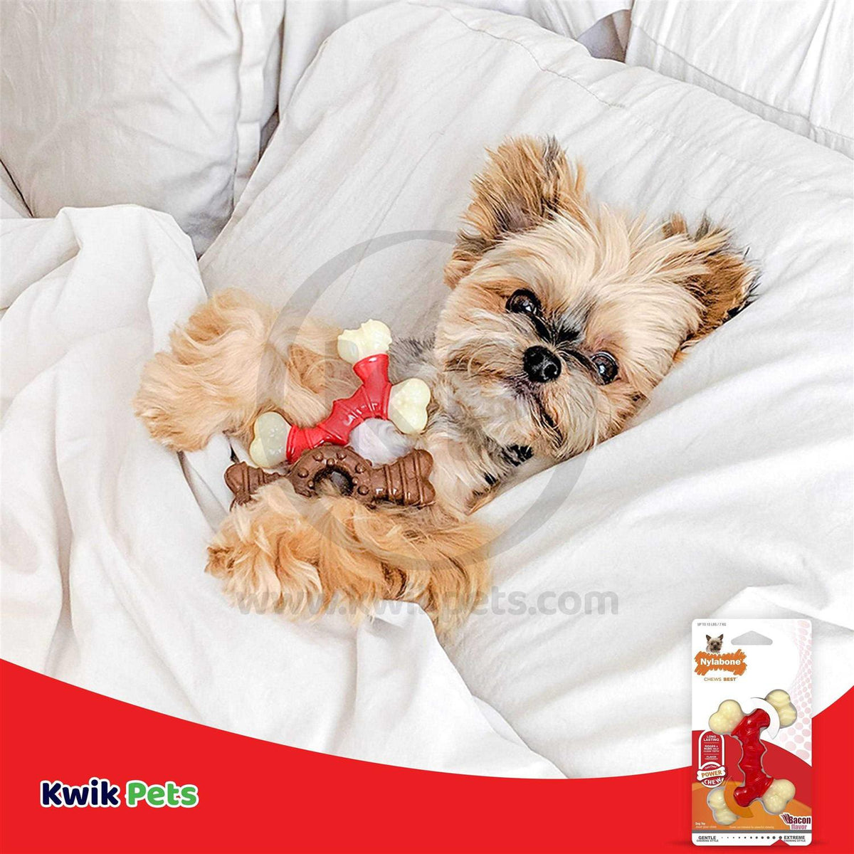 Double Bone Bacon Petite Pet Chew H469