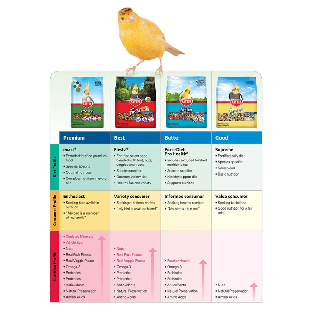 Parrot Food V844