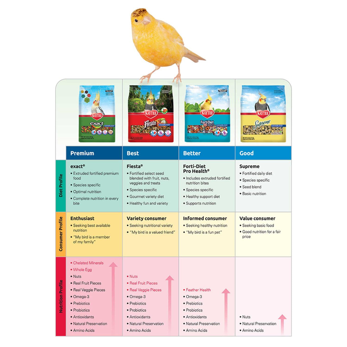 Parrot Food V844