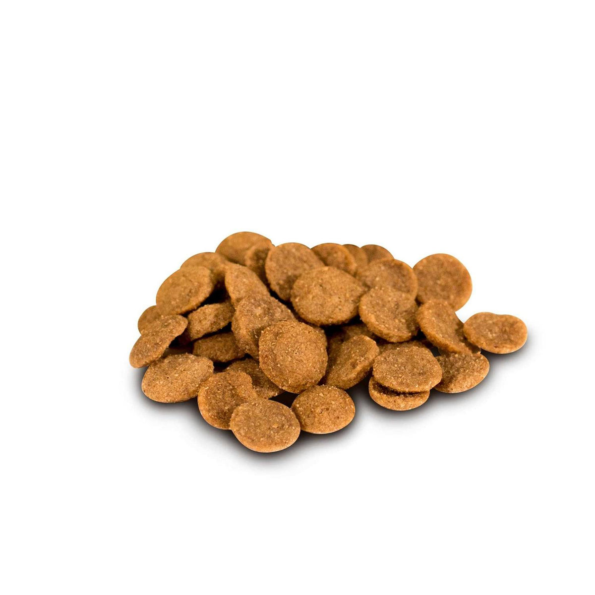 Grain-Free Dry Dog Food N705172