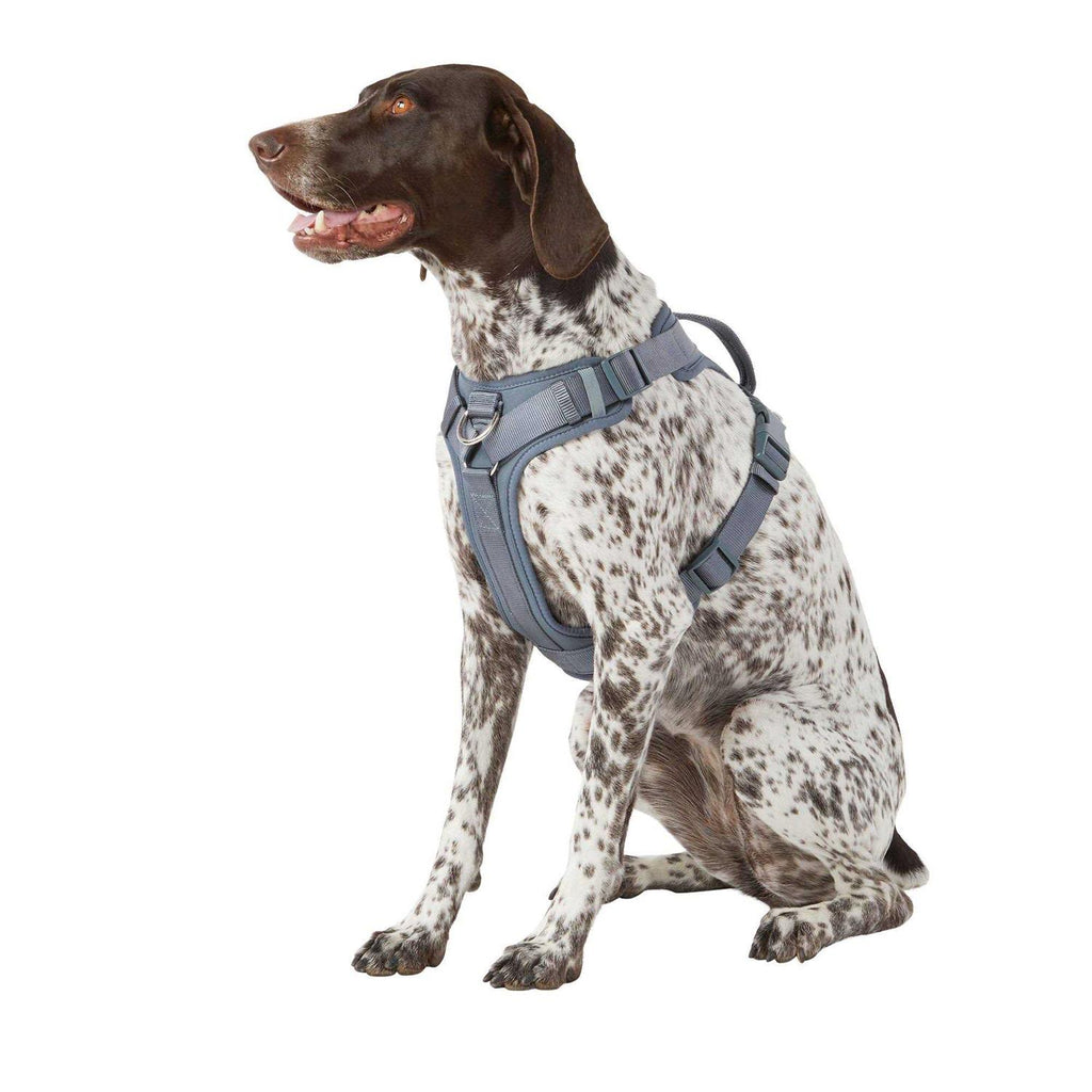 Adjustable Dog Harness F475992