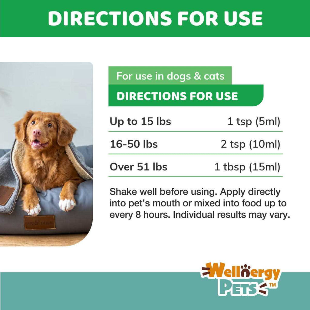 Anti-Diarrhea for Dogs and Cats with Syringe P247