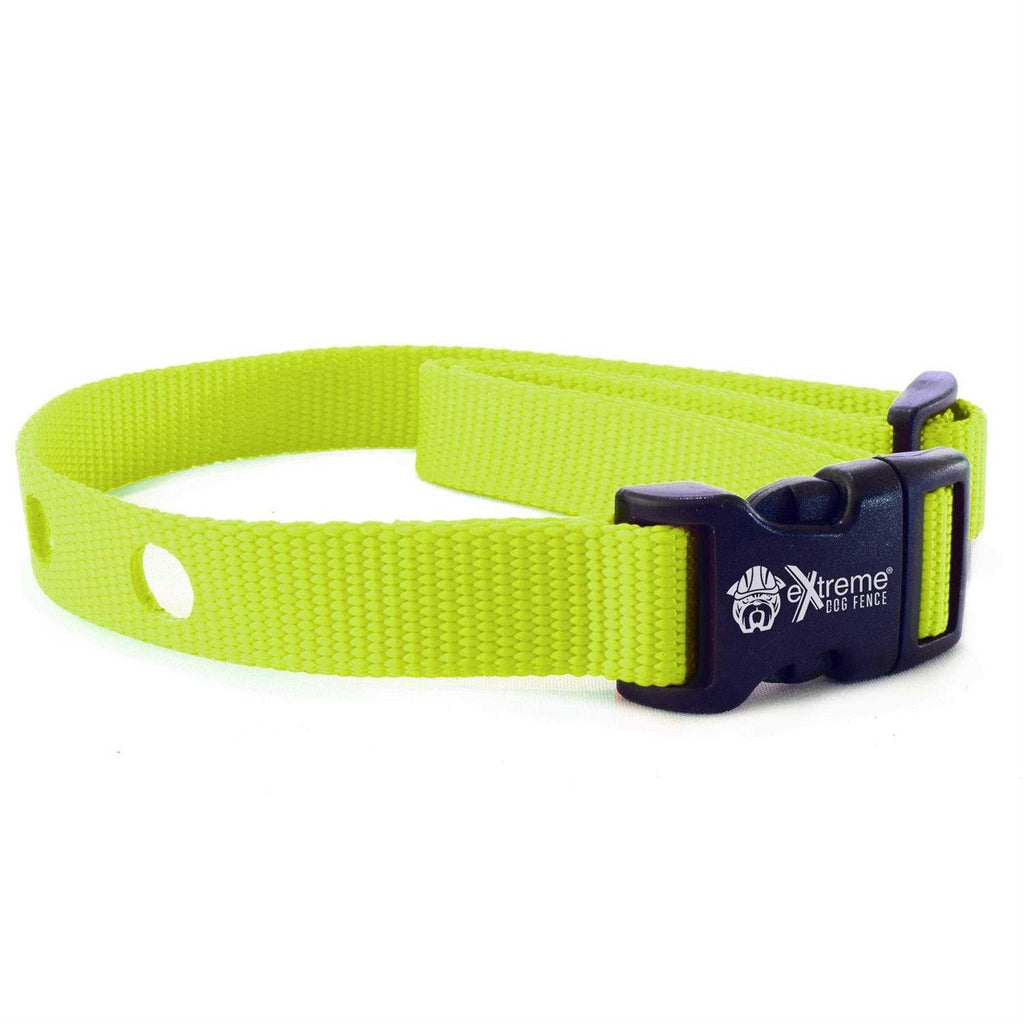 Dog Collar Replacement Strap X56888