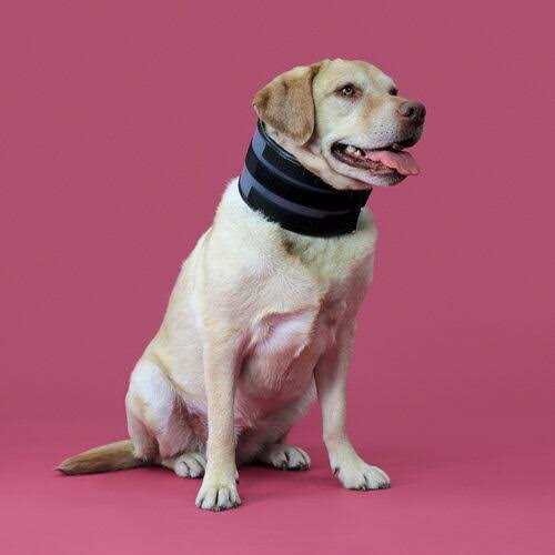 Cervical Collar V9296