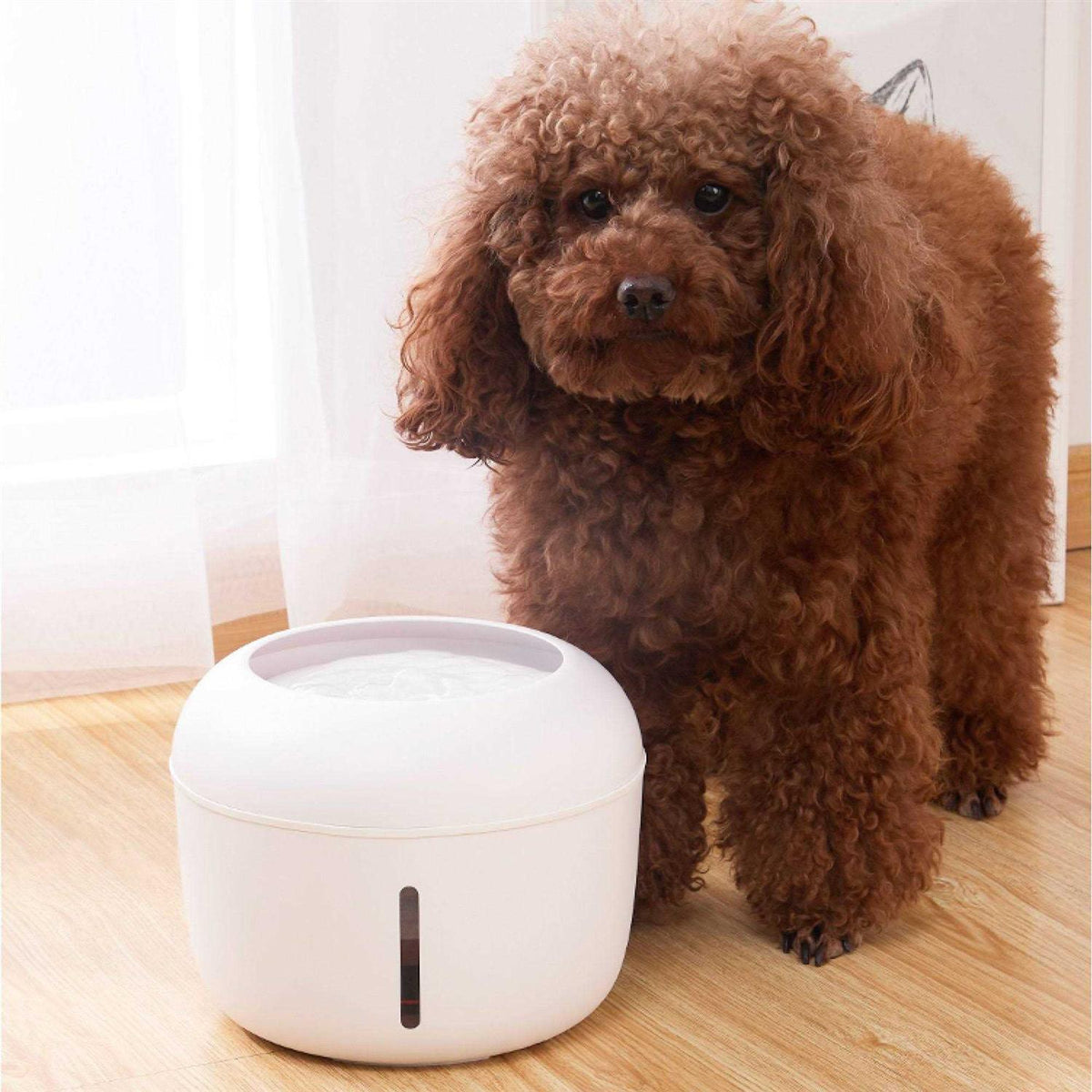 Dog and Cat Fountain Waterer B560