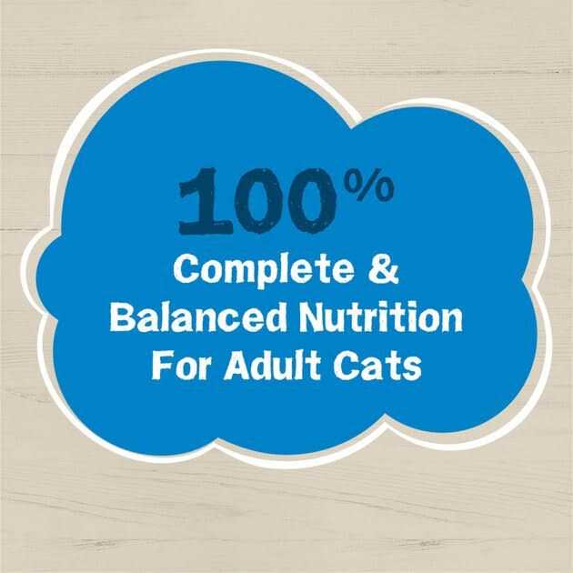 Wet Cat Food N859