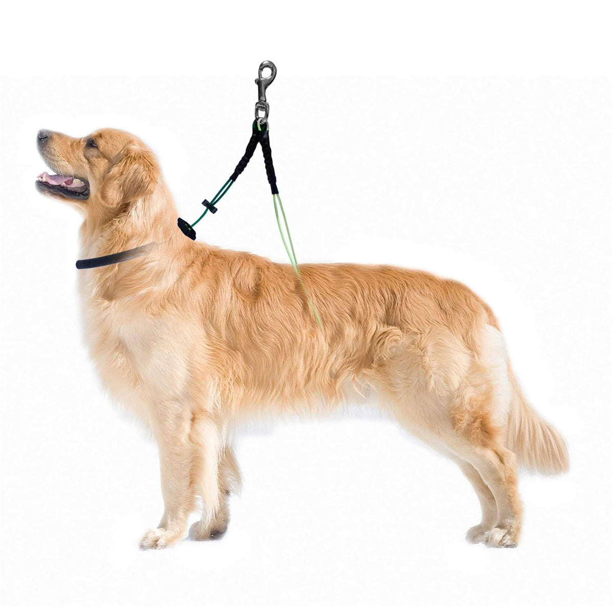 Dog Grooming Loop Restraint K322041