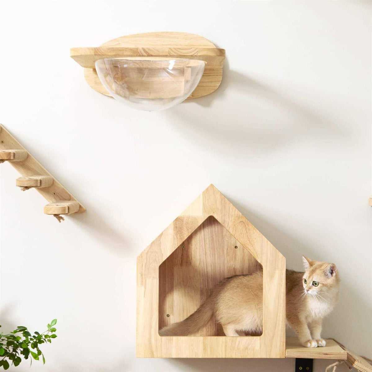 Cat Wall Furniture Set with 2 PCS Pedals R435282
