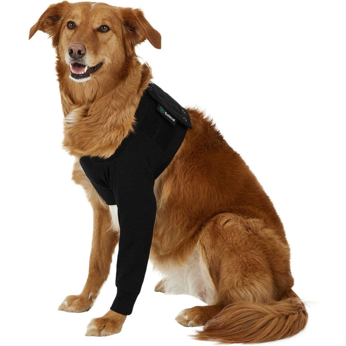 Dog Recovery Sleeve H51948