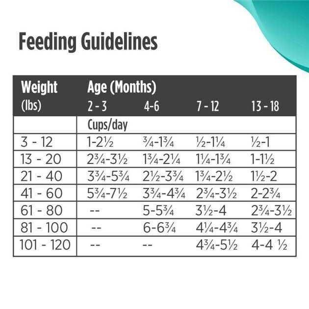 Grain Free Dry Puppy Food W278967