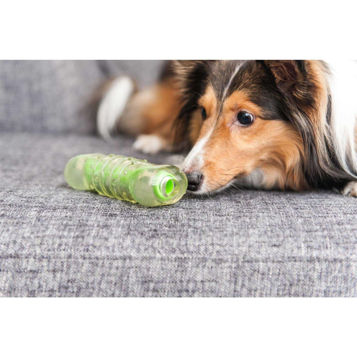 Bone Dog Chew Toy X8937