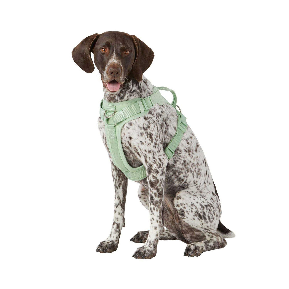Adjustable Dog Harness F475992