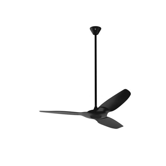 Black Ceiling Fan K58671