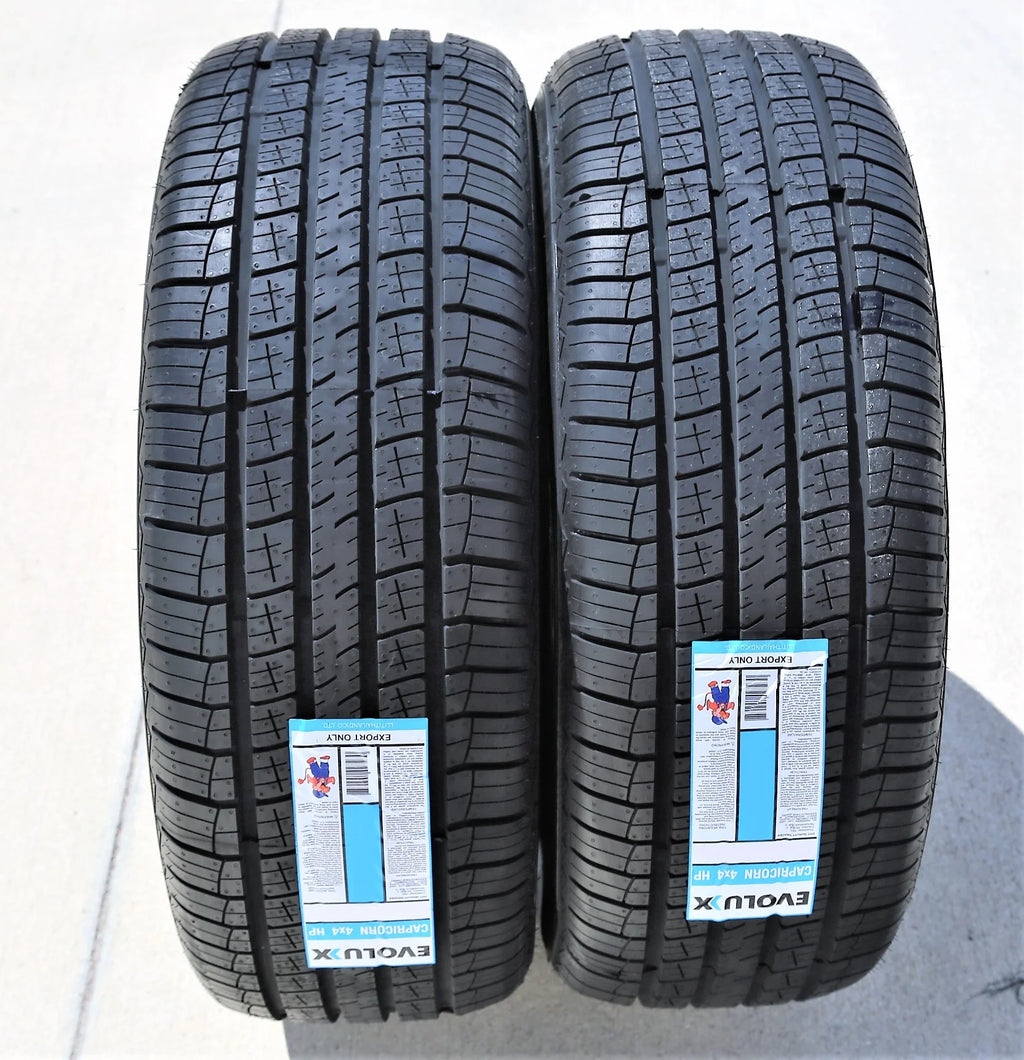 255/60R19 109H Performance Tire D280009