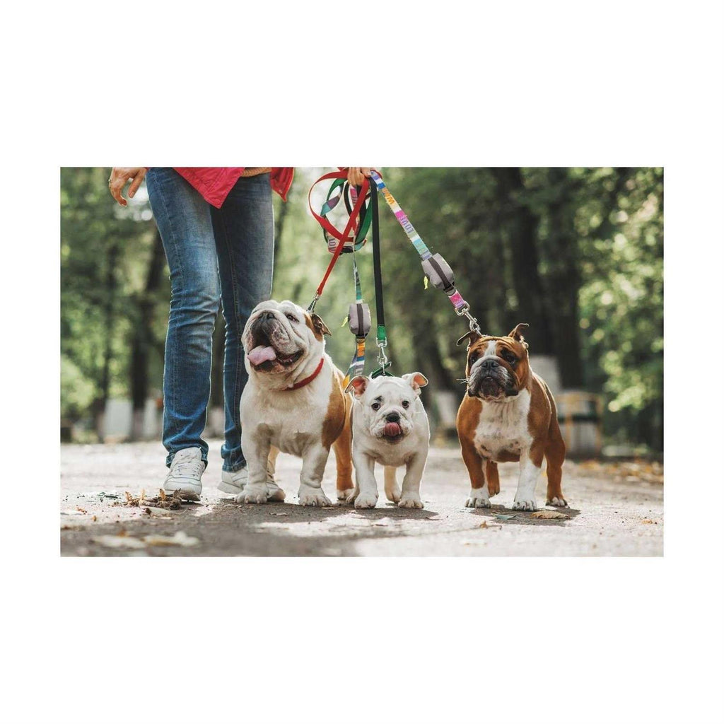 Leash Attachment Poop Bag Holder R8048