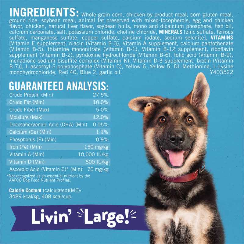 High Protein Large Breed Dry Puppy Food with Real Chicken F921
