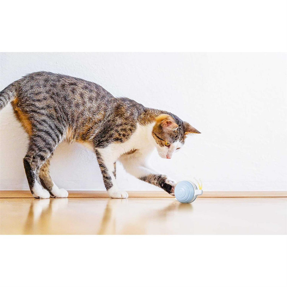 Smart Interactive Cat Toy I534