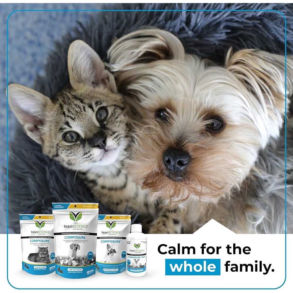 Cat Supplement C535153