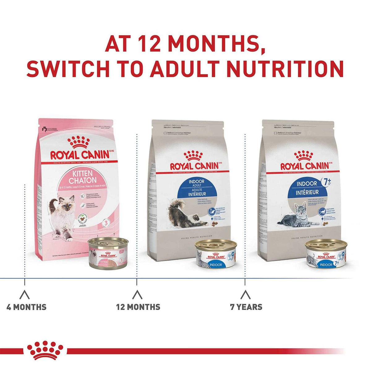 Indoor Adult Dry Food H74182