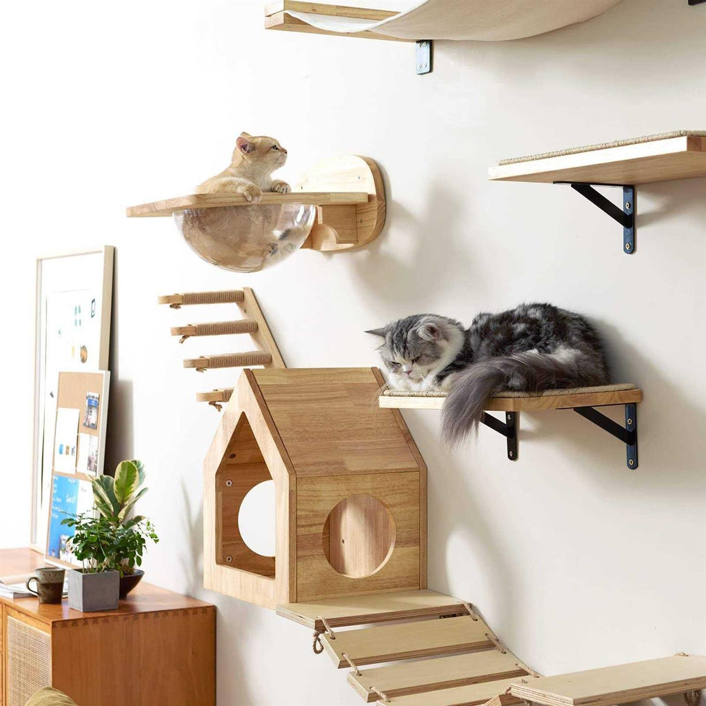 Cat Wall Furniture Set with 2 PCS Pedals R435282