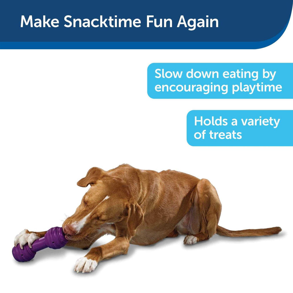 Dog Toy I26086