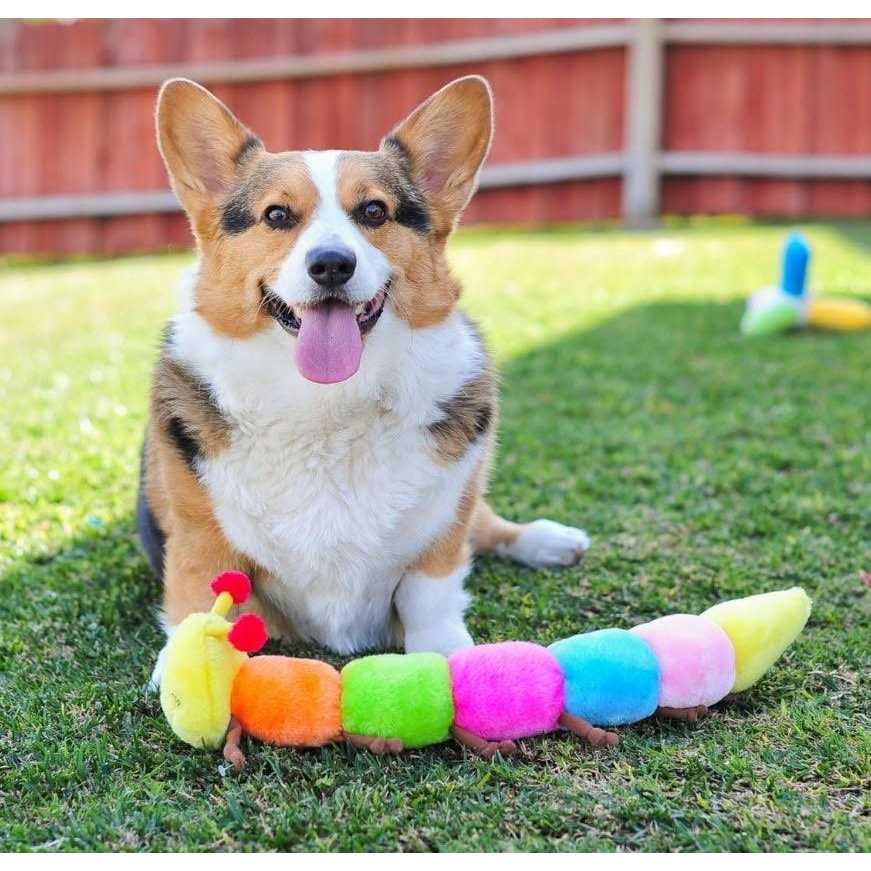 Caterpillar Dog Toy G194