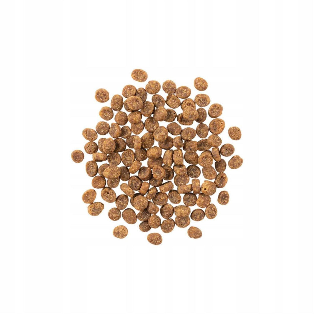Limited Ingredient Duck Recipe Dry Cat Food N9158
