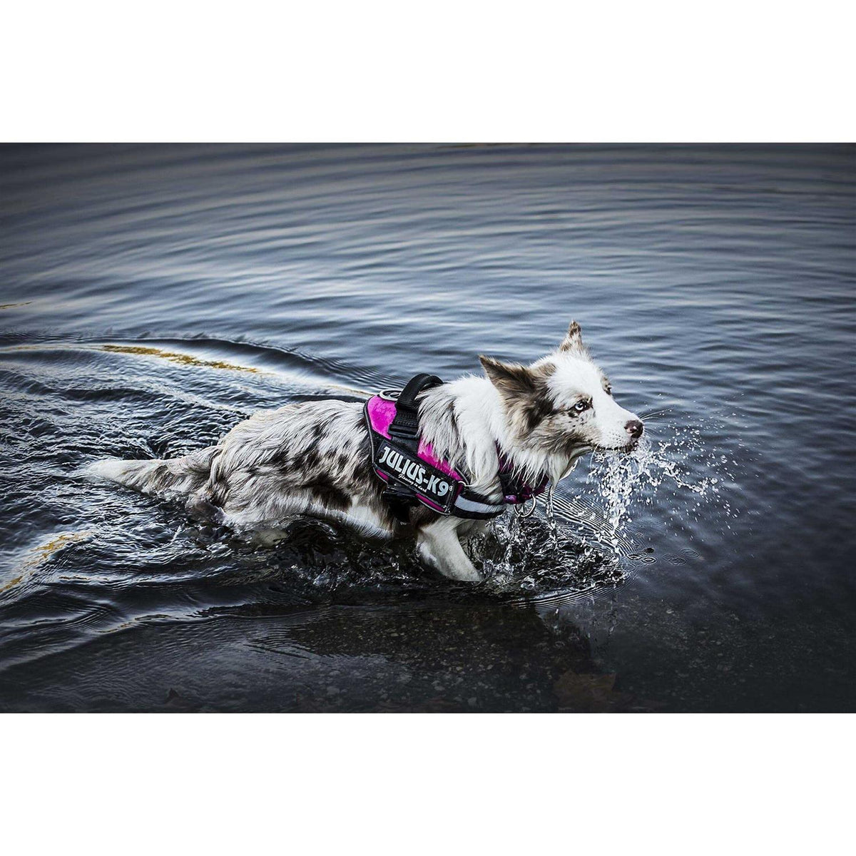 Powerharness Y125371