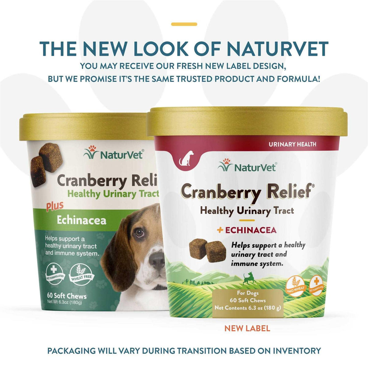 Cranberry Relief Plus Echinacea Soft Chews for Dogs E94548