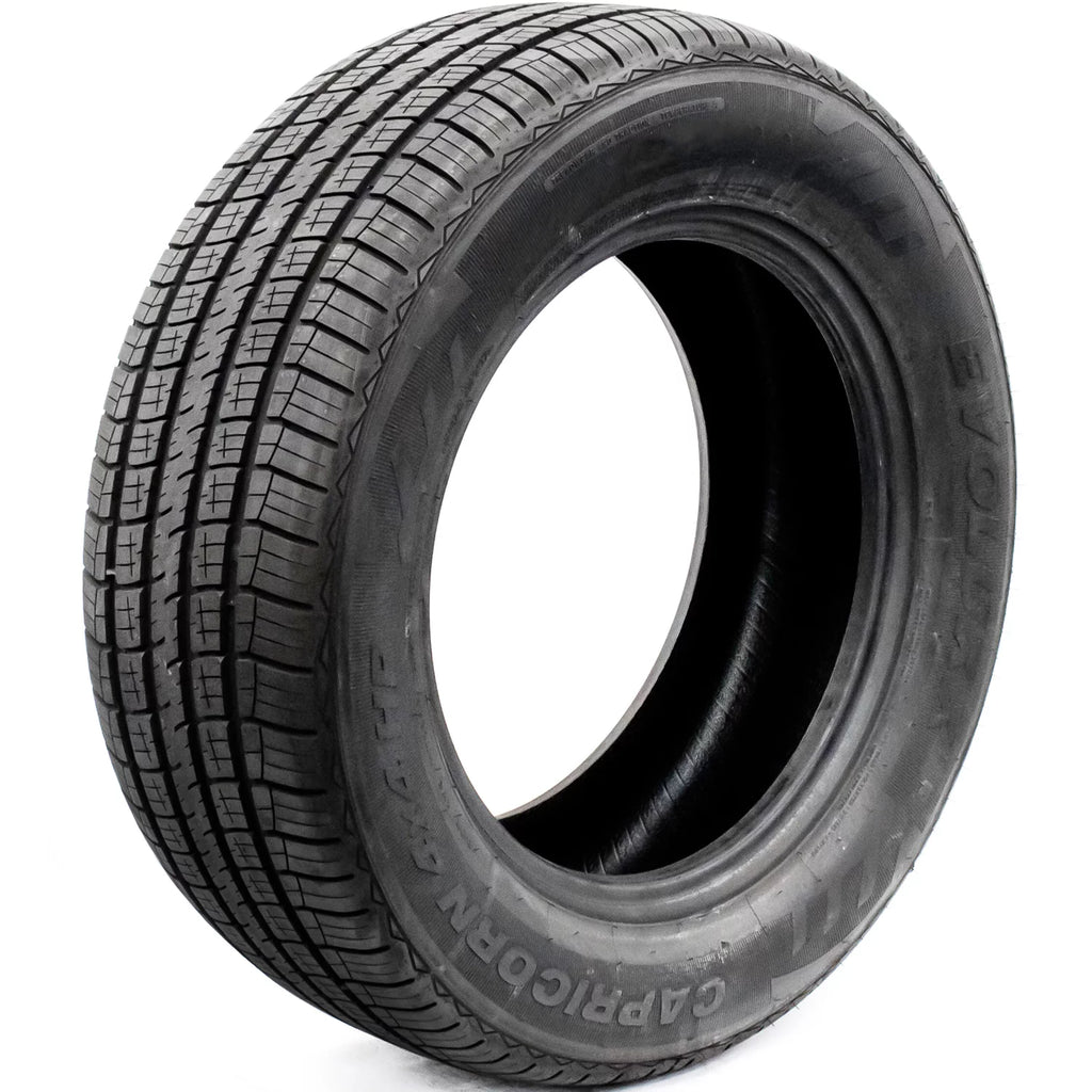 255/60R19 109H Performance Tire D280009